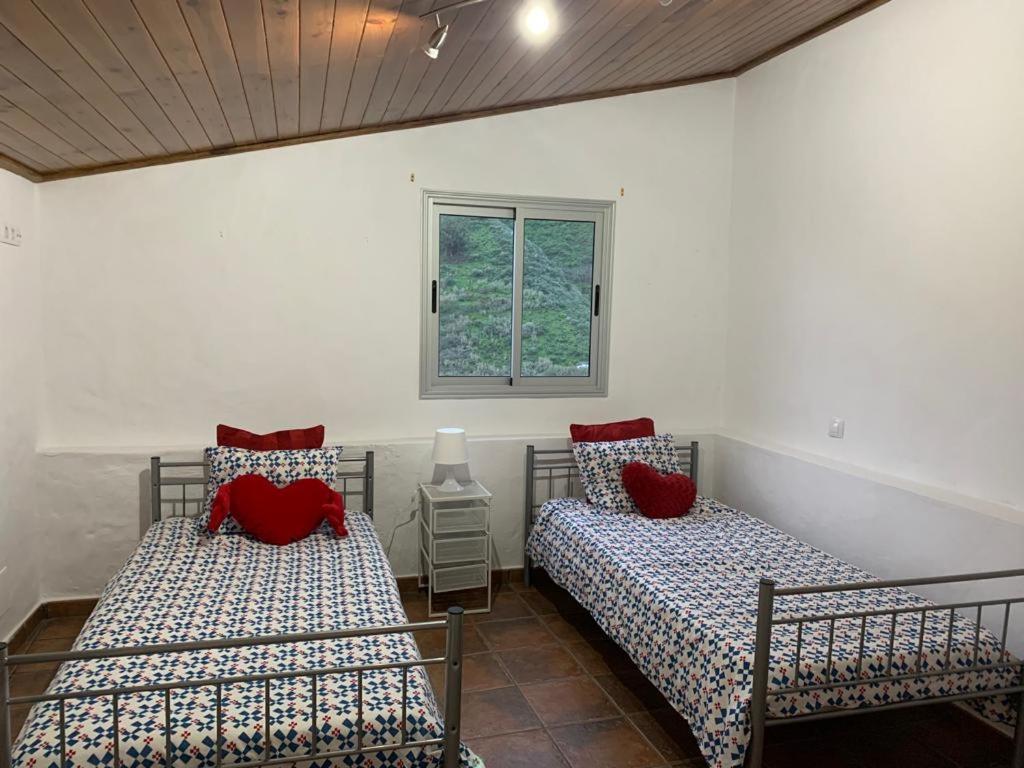 Casa Rural La Yedra San Mateo Arbejales المظهر الخارجي الصورة