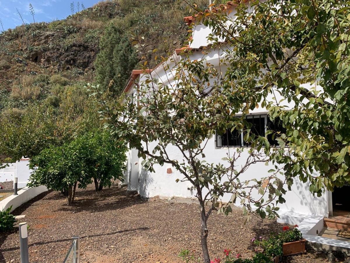 Casa Rural La Yedra San Mateo Arbejales المظهر الخارجي الصورة