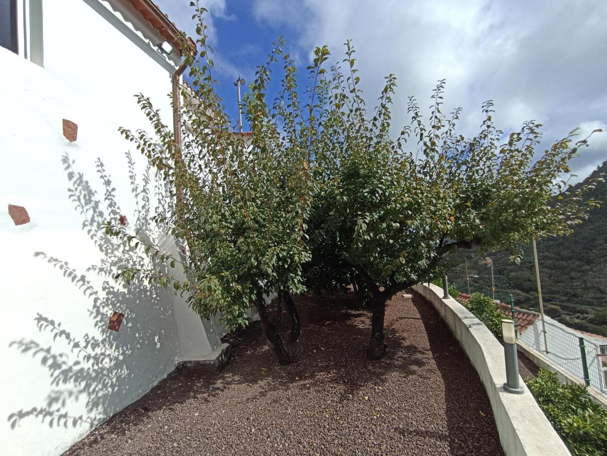 Casa Rural La Yedra San Mateo Arbejales المظهر الخارجي الصورة