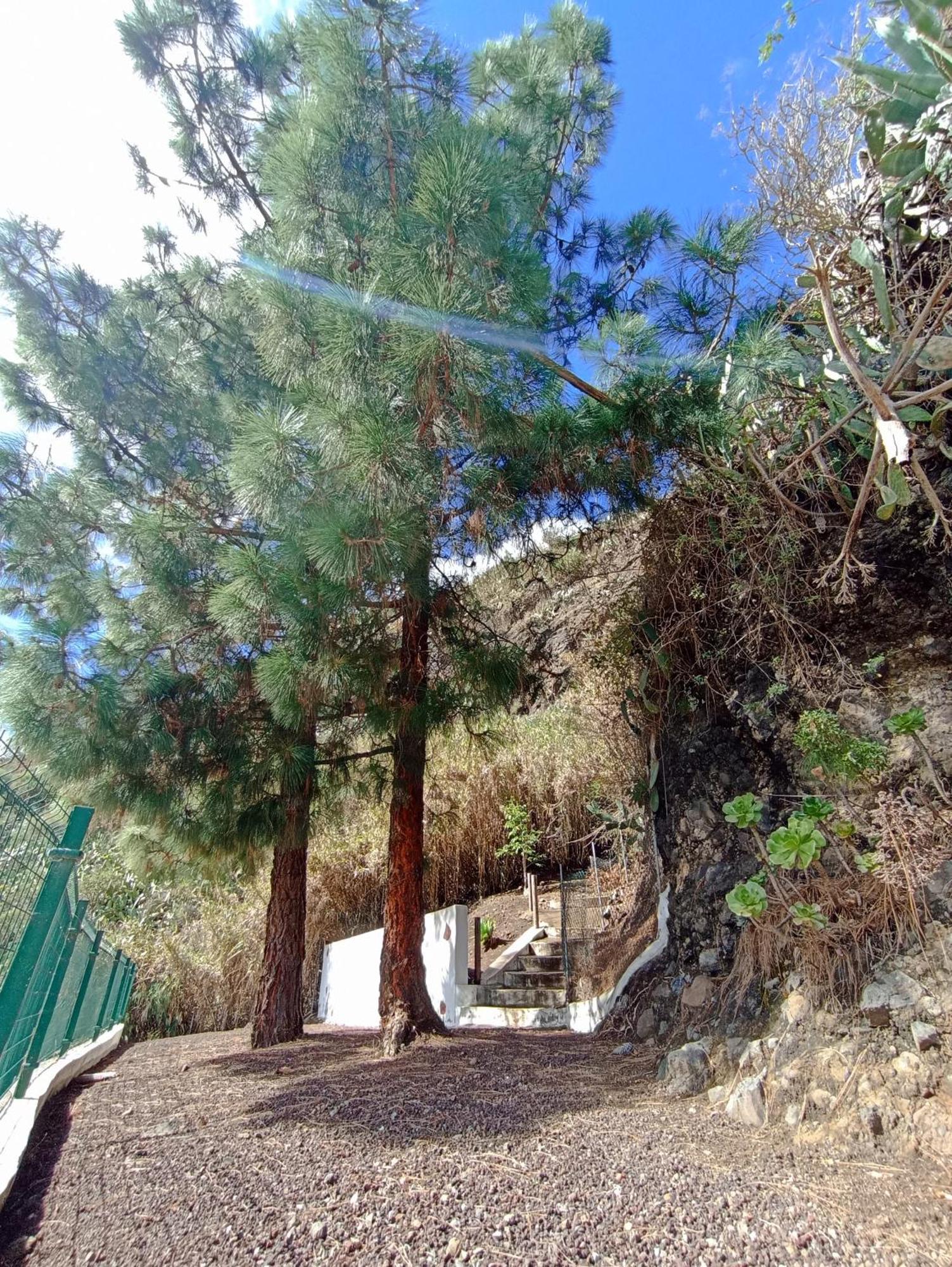 Casa Rural La Yedra San Mateo Arbejales المظهر الخارجي الصورة