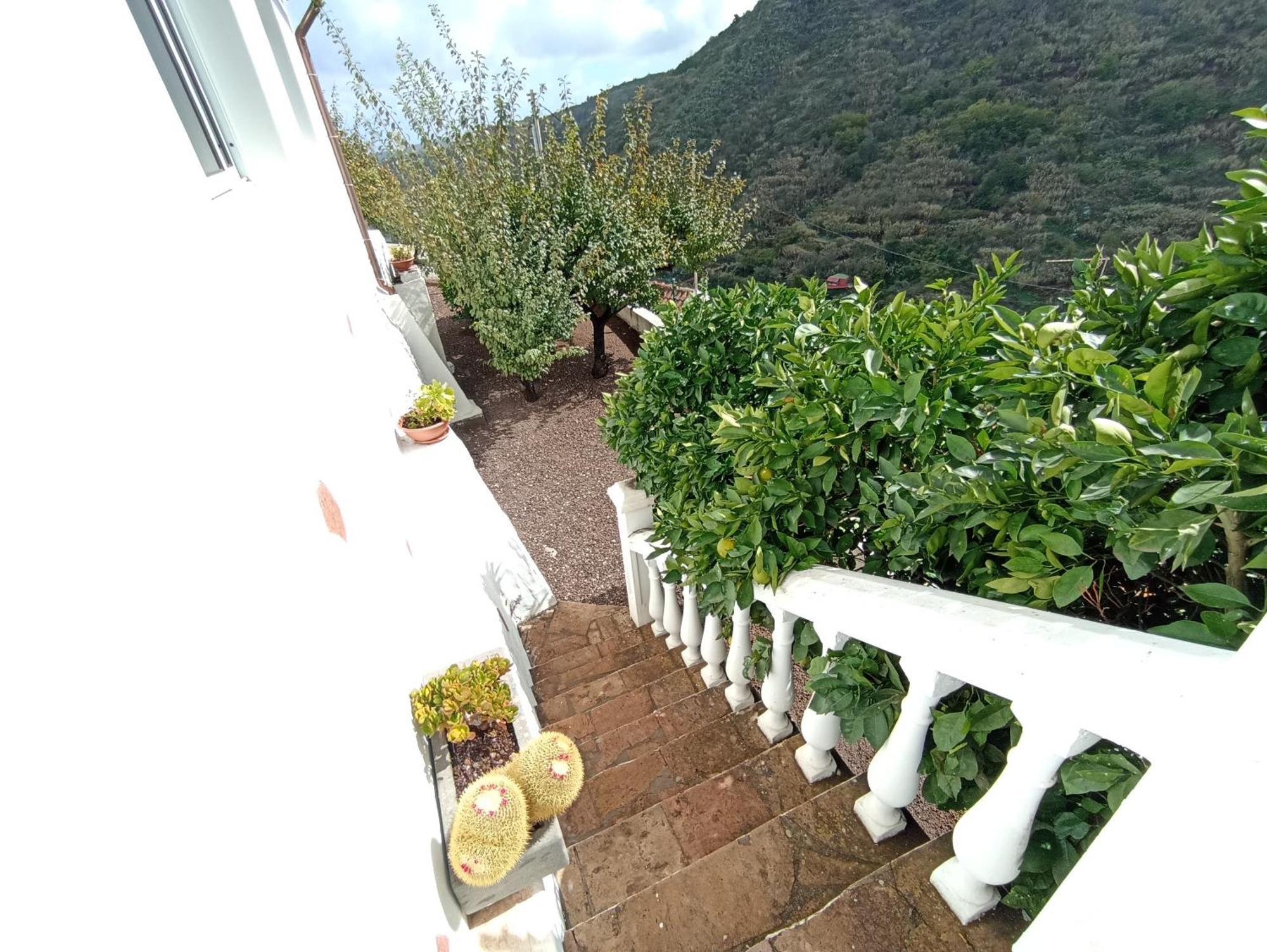 Casa Rural La Yedra San Mateo Arbejales المظهر الخارجي الصورة